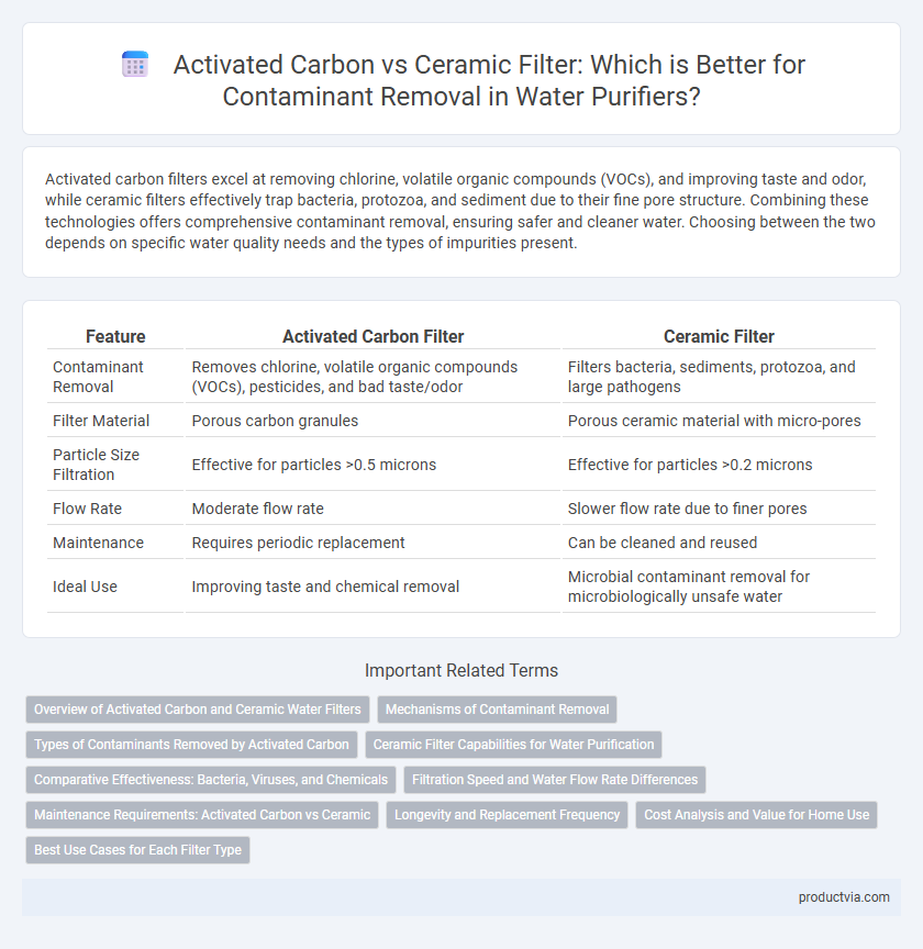 Activated Carbon vs Ceramic Filter: Which is Better for Contaminant Removal in Water Purifiers?