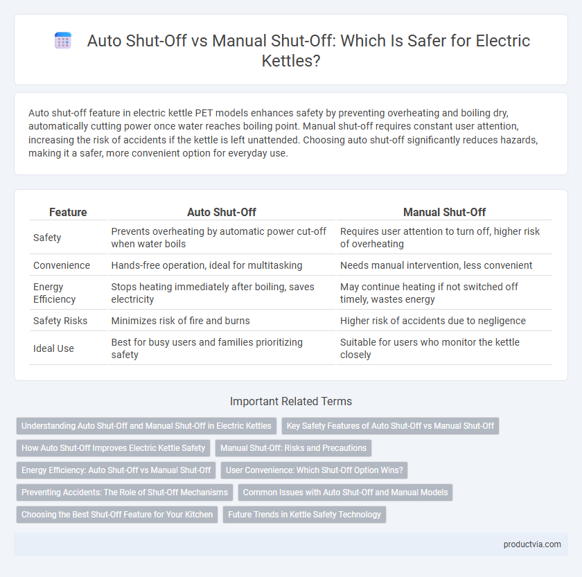 Auto Shut-Off vs Manual Shut-Off: Which Is Safer for Electric Kettles?