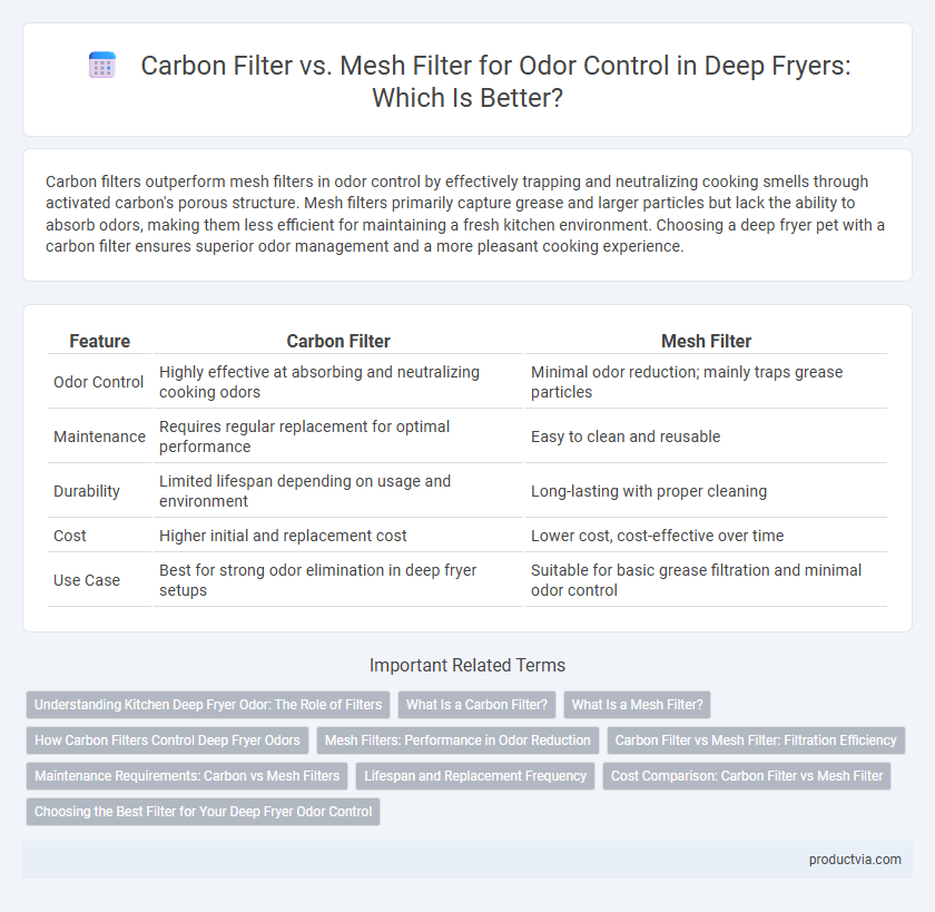 Carbon Filter vs. Mesh Filter for Odor Control in Deep Fryers: Which Is Better?