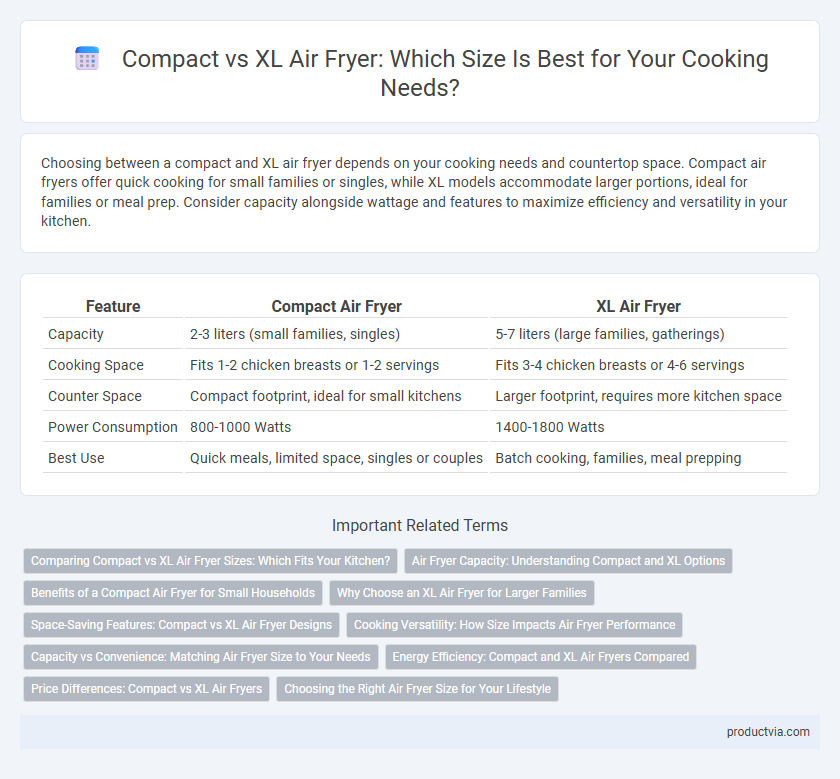 Compact vs XL Air Fryer: Which Size Is Best for Your Cooking Needs?