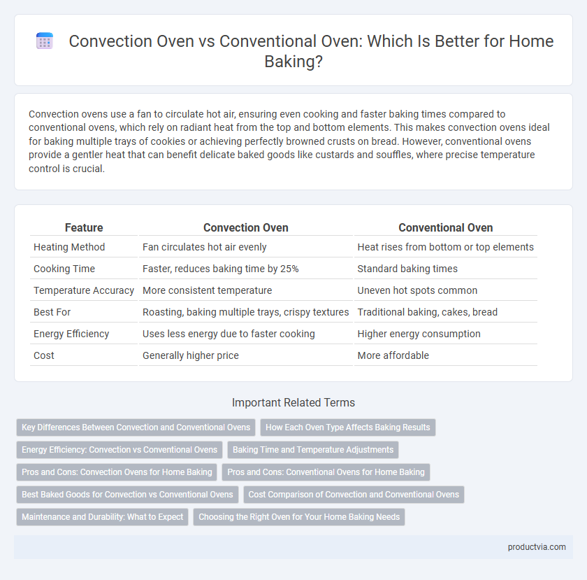 Convection Oven vs Conventional Oven: Which Is Better for Home Baking?