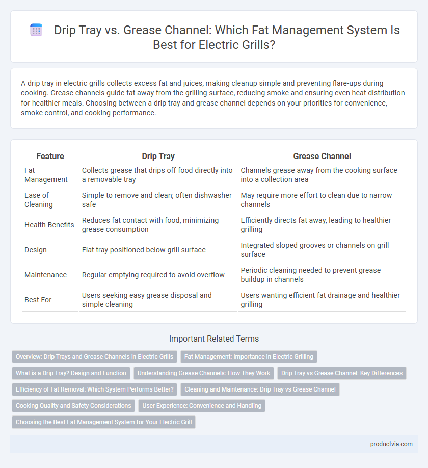 Drip Tray vs. Grease Channel: Which Fat Management System Is Best for Electric Grills?