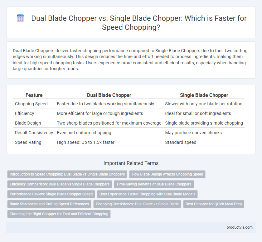 Dual Blade Chopper vs. Single Blade Chopper: Which is Faster for Speed Chopping?