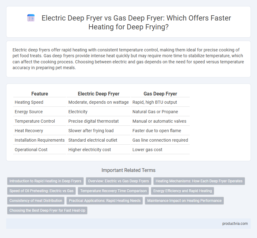 Electric Deep Fryer vs Gas Deep Fryer: Which Offers Faster Heating for Deep Frying?