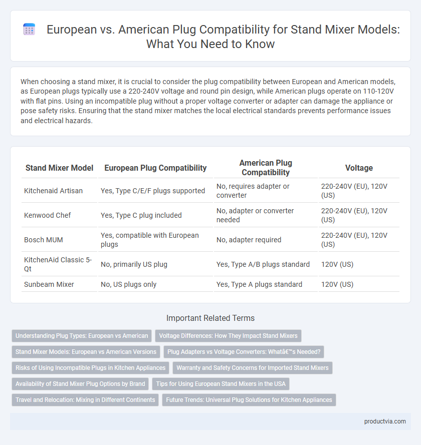 European vs. American Plug Compatibility for Stand Mixer Models: What You Need to Know