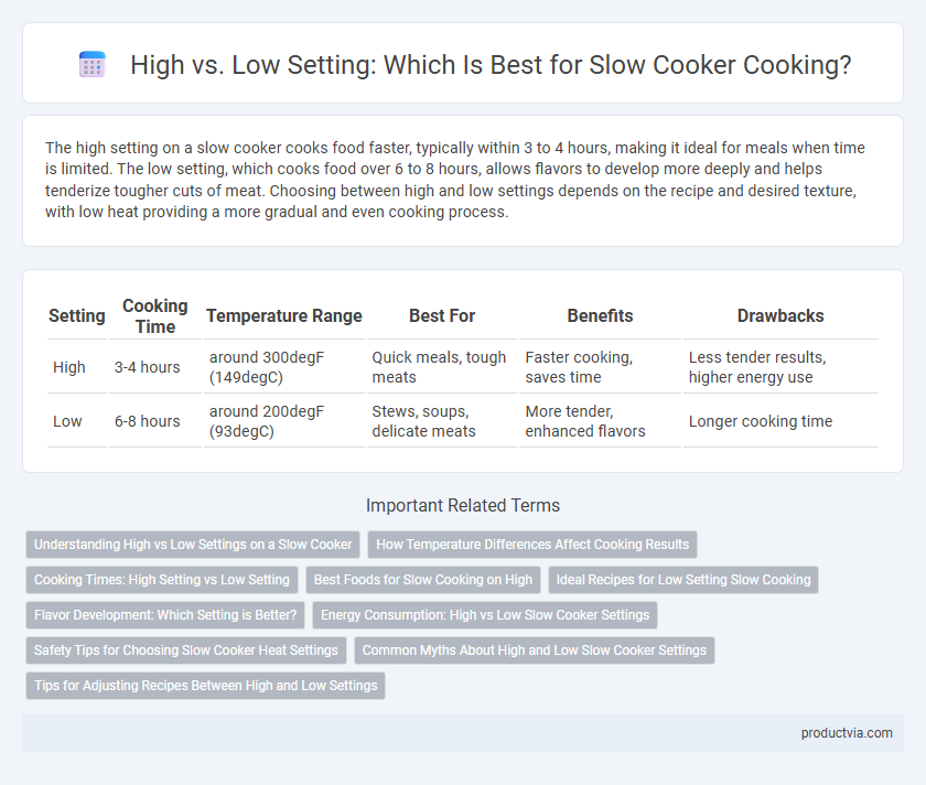 High vs. Low Setting: Which Is Best for Slow Cooker Cooking?