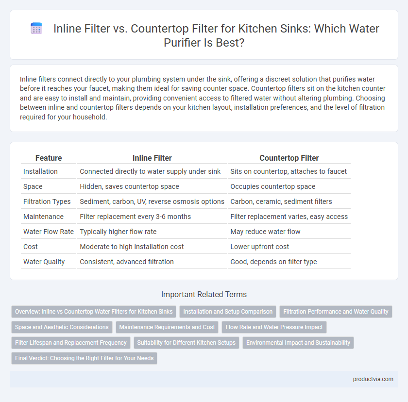 Inline Filter vs. Countertop Filter for Kitchen Sinks: Which Water Purifier Is Best?