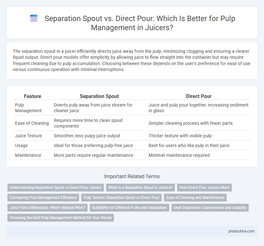 Separation Spout vs. Direct Pour: Which Is Better for Pulp Management in Juicers?