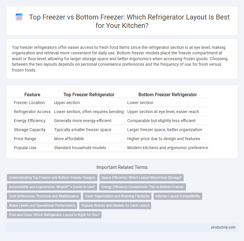 Top Freezer vs Bottom Freezer: Which Refrigerator Layout Is Best for Your Kitchen?