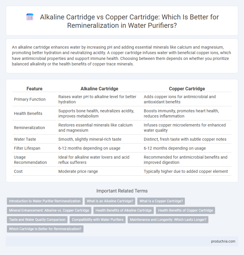 Alkaline Cartridge vs Copper Cartridge: Which Is Better for Remineralization in Water Purifiers?