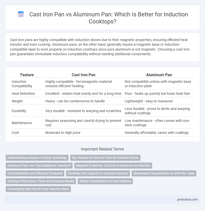 Cast Iron Pan vs Aluminum Pan: Which Is Better for Induction Cooktops?