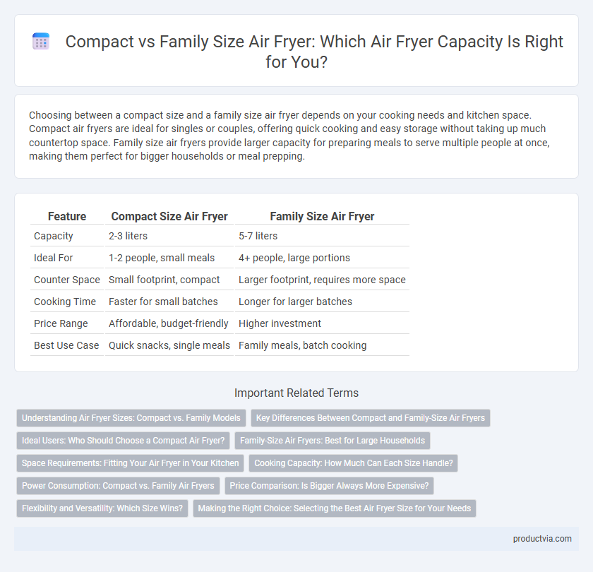 Compact vs Family Size Air Fryer: Which Air Fryer Capacity Is Right for You?
