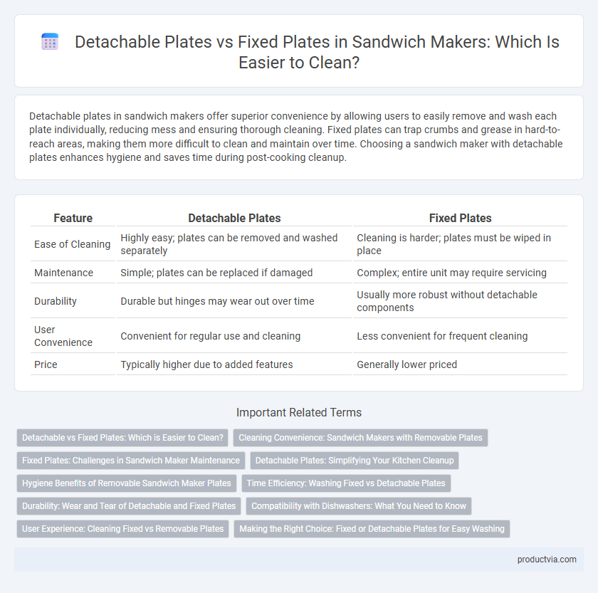 Detachable Plates vs Fixed Plates in Sandwich Makers: Which Is Easier to Clean?