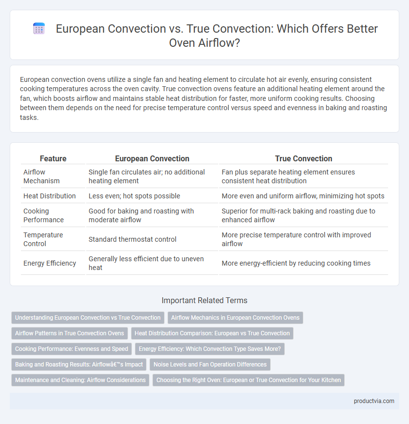 European Convection vs. True Convection: Which Offers Better Oven Airflow?