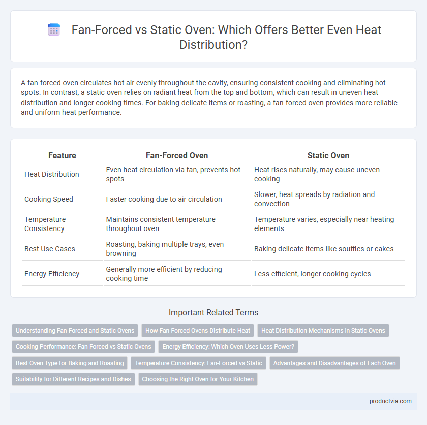 Fan-Forced vs Static Oven: Which Offers Better Even Heat Distribution?
