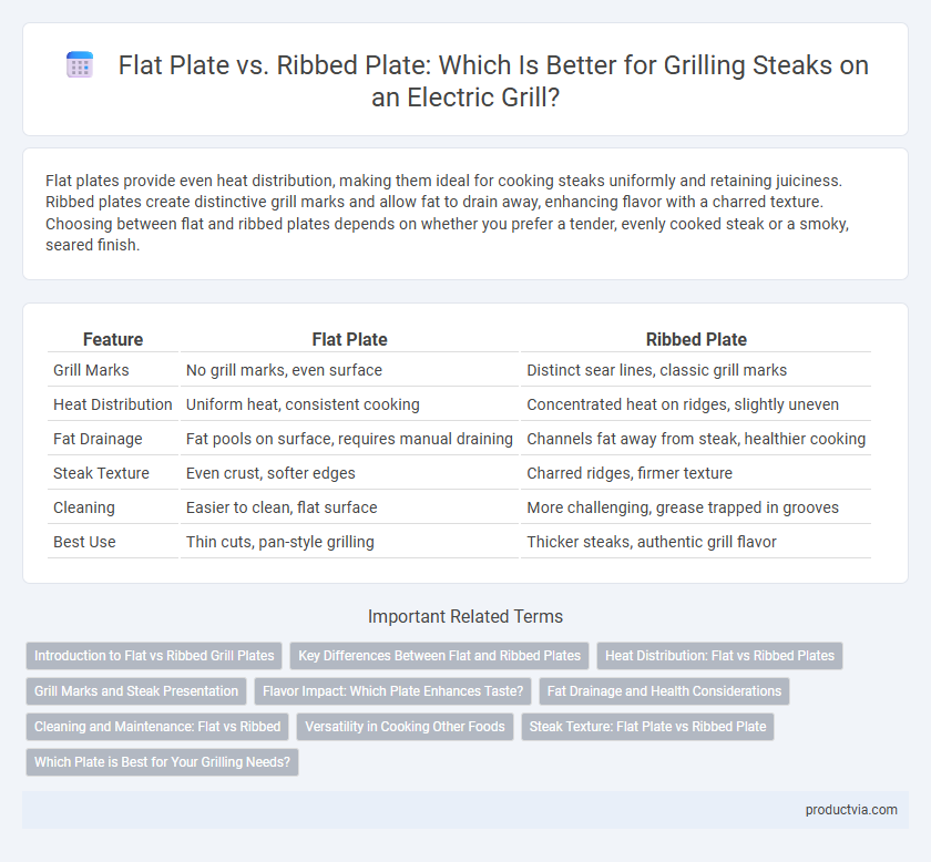 Flat Plate vs. Ribbed Plate: Which Is Better for Grilling Steaks on an Electric Grill?