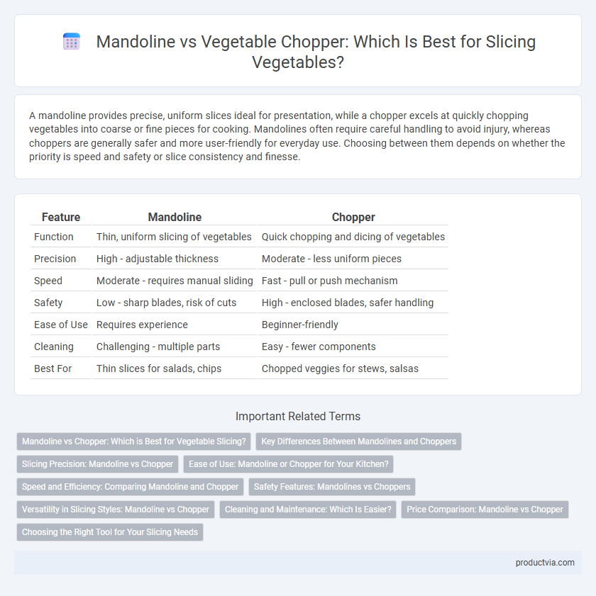 Mandoline vs Vegetable Chopper: Which Is Best for Slicing Vegetables?