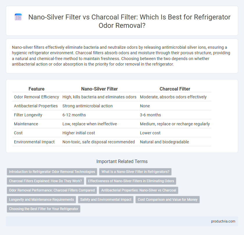 Nano-Silver Filter vs Charcoal Filter: Which Is Best for Refrigerator Odor Removal?