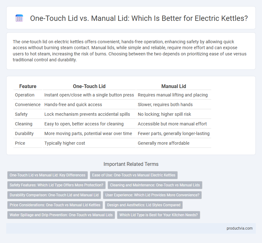 One-Touch Lid vs. Manual Lid: Which Is Better for Electric Kettles?