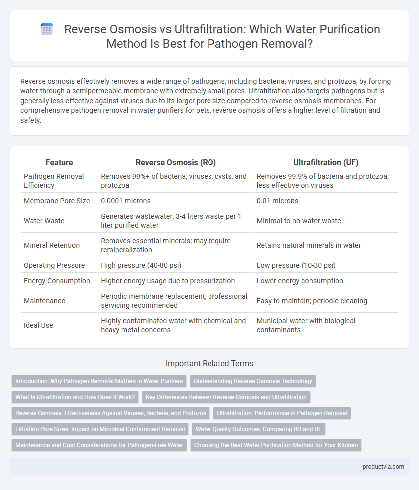 Reverse Osmosis vs Ultrafiltration: Which Water Purification Method Is Best for Pathogen Removal?