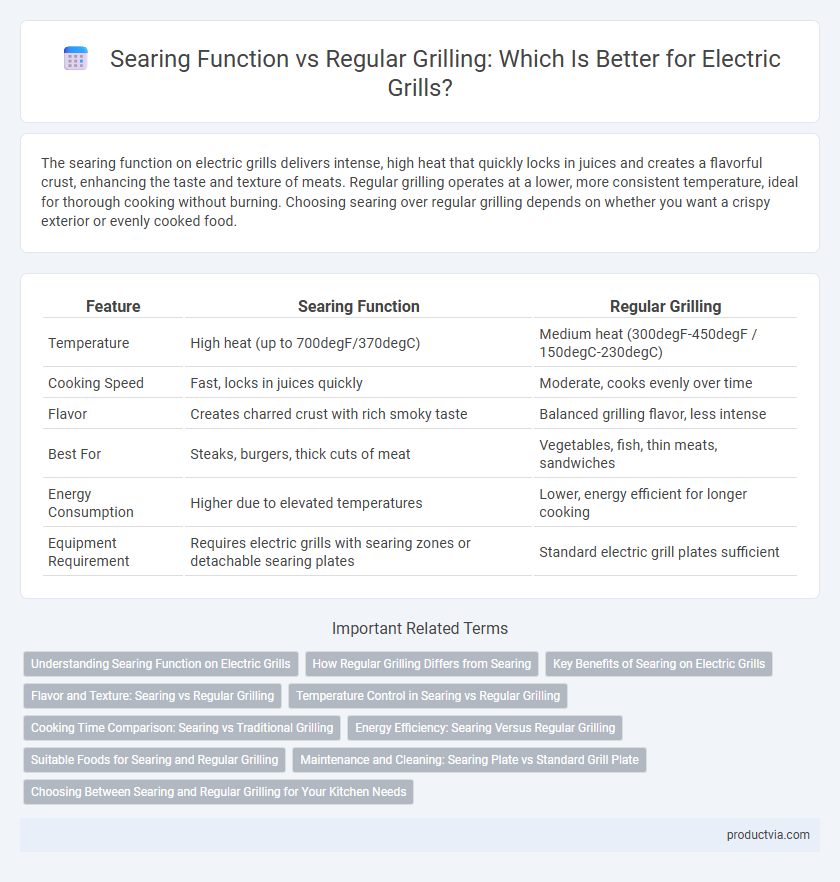 Searing Function vs Regular Grilling: Which Is Better for Electric Grills?