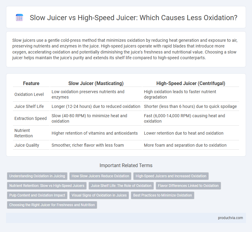 Slow Juicer vs High-Speed Juicer: Which Causes Less Oxidation?