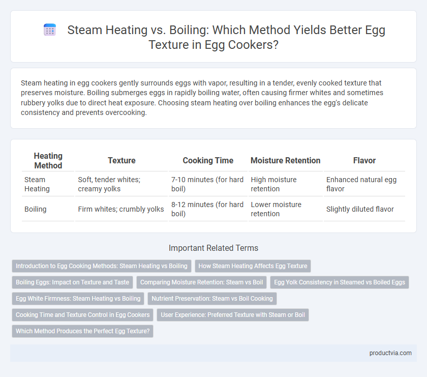 Steam Heating vs. Boiling: Which Method Yields Better Egg Texture in Egg Cookers?