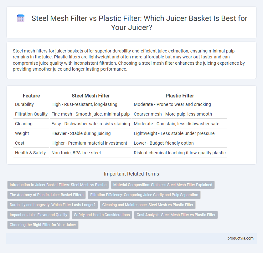 Steel Mesh Filter vs Plastic Filter: Which Juicer Basket Is Best for Your Juicer?