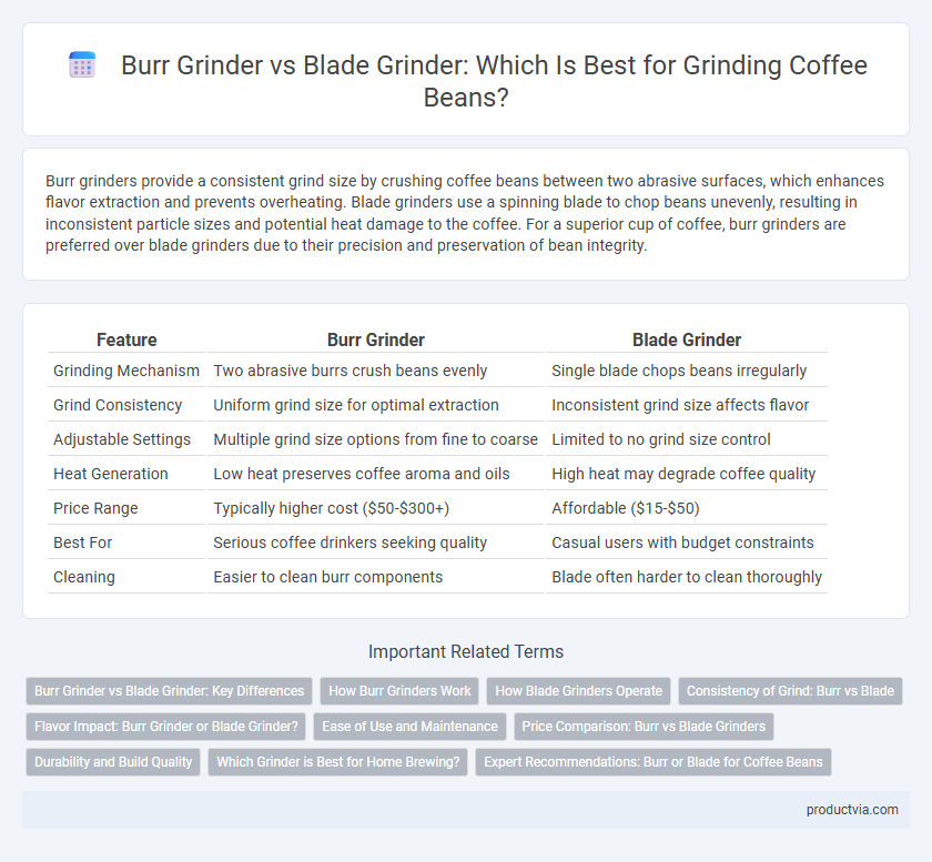 Burr Grinder vs Blade Grinder: Which Is Best for Grinding Coffee Beans?