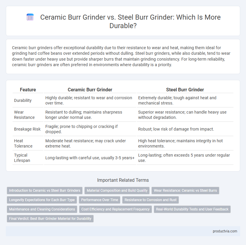 Ceramic Burr Grinder vs. Steel Burr Grinder: Which Is More Durable?