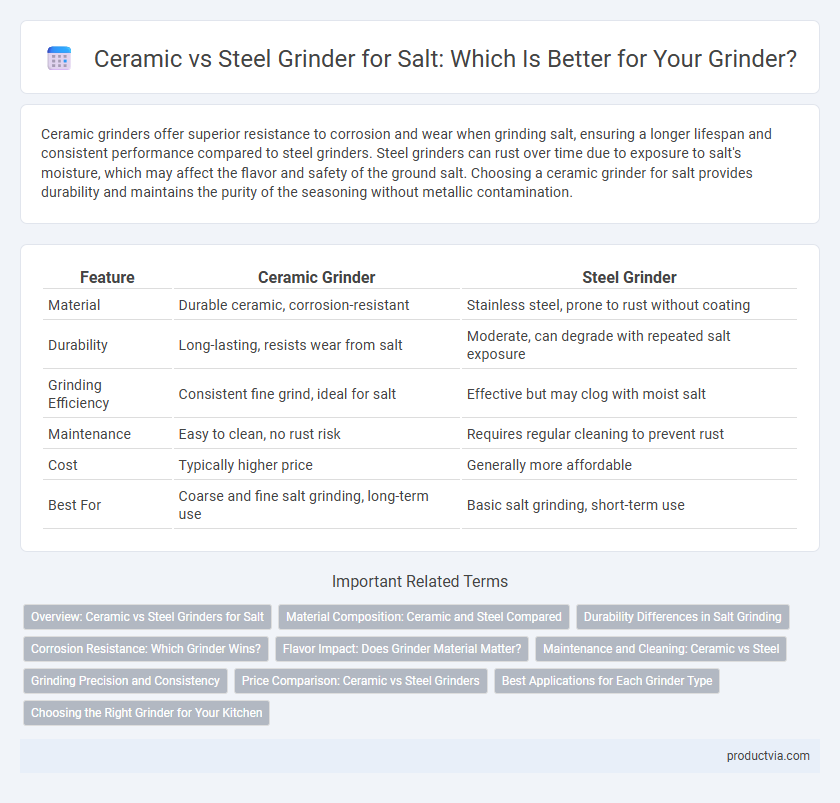 Ceramic vs Steel Grinder for Salt: Which Is Better for Your Grinder?