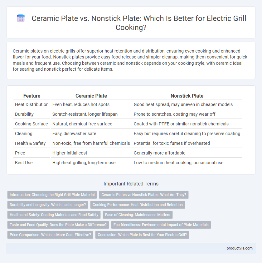 Ceramic Plate vs. Nonstick Plate: Which Is Better for Electric Grill Cooking?