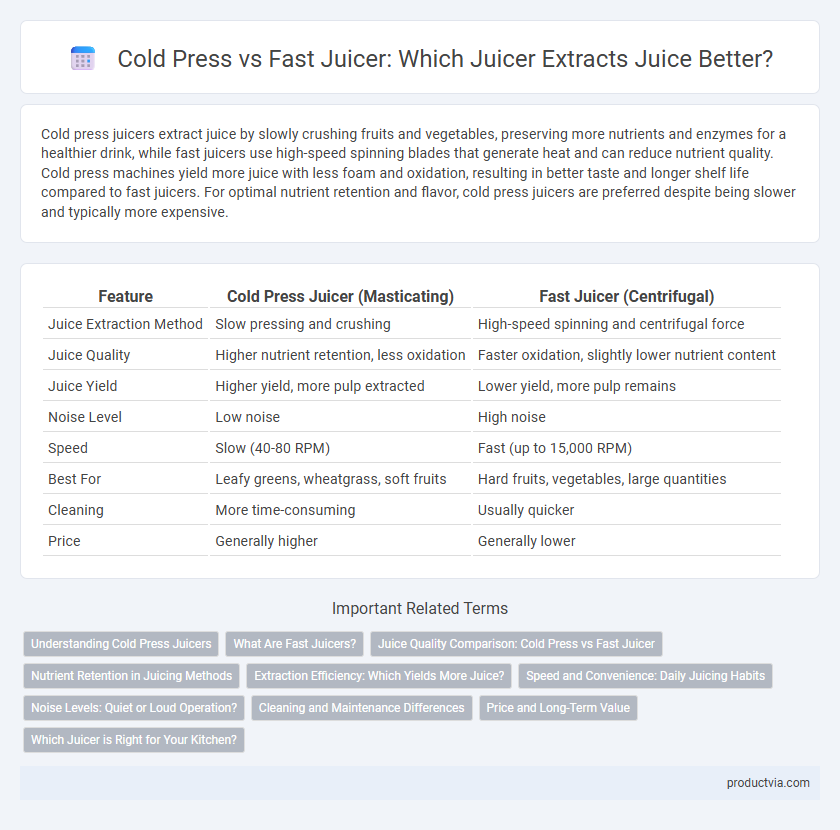 Cold Press vs Fast Juicer: Which Juicer Extracts Juice Better?