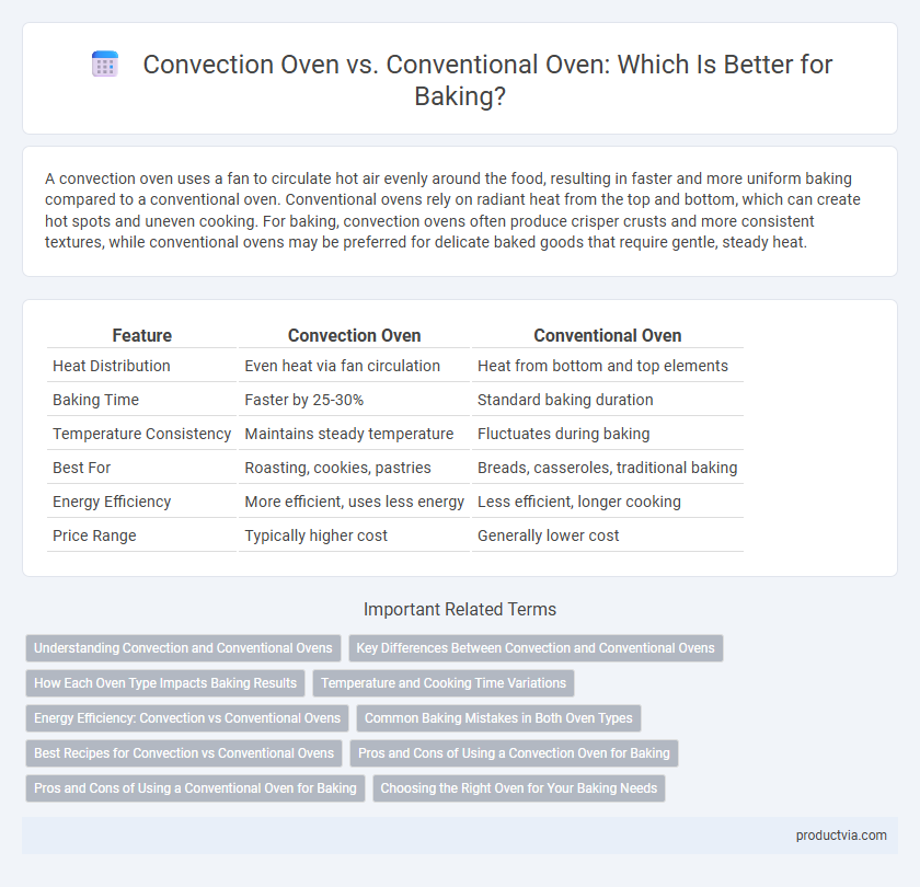 Convection Oven vs. Conventional Oven: Which Is Better for Baking?