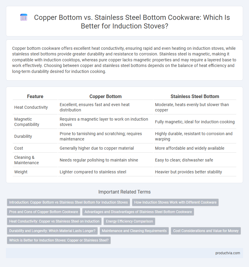 Copper Bottom vs. Stainless Steel Bottom Cookware: Which Is Better for Induction Stoves?