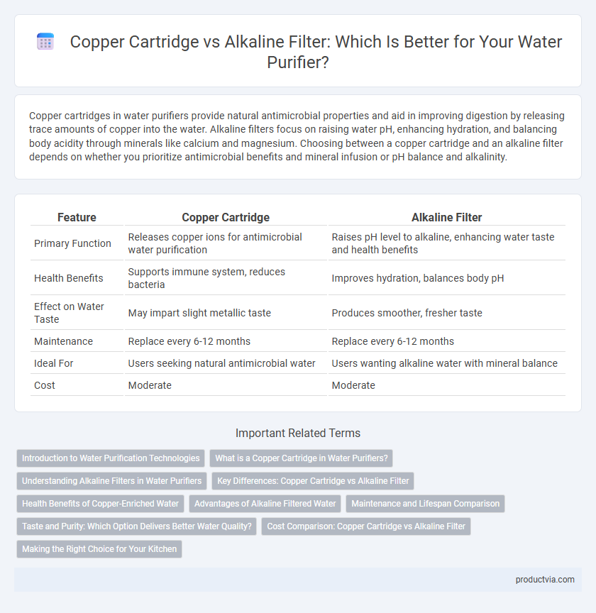 Copper Cartridge vs Alkaline Filter: Which Is Better for Your Water Purifier?