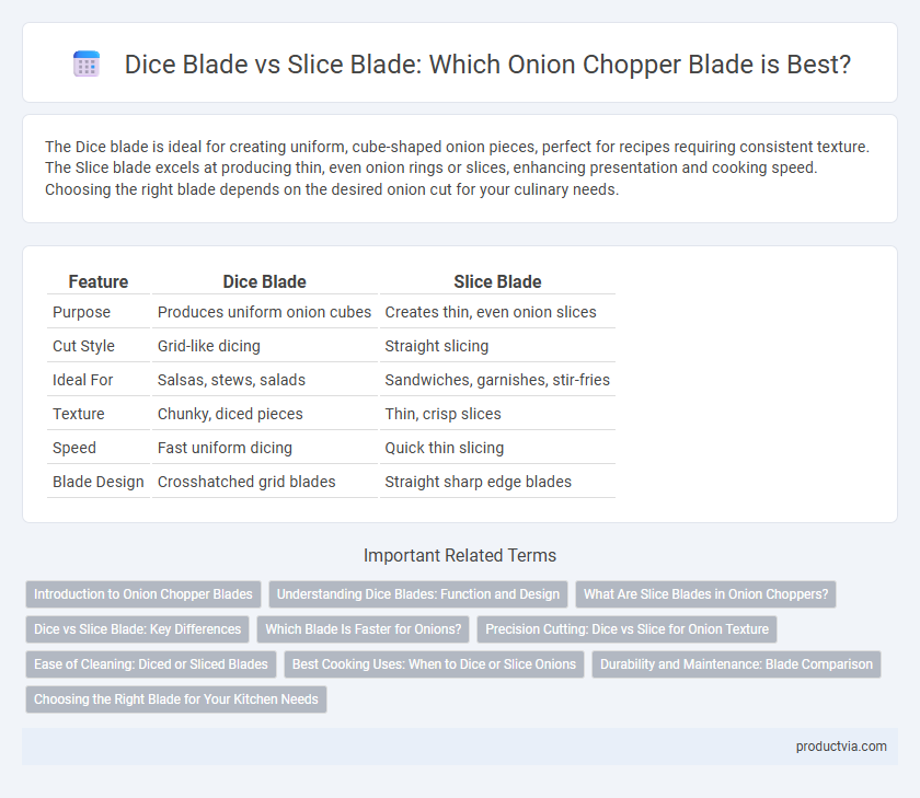 Dice Blade vs Slice Blade: Which Onion Chopper Blade is Best?