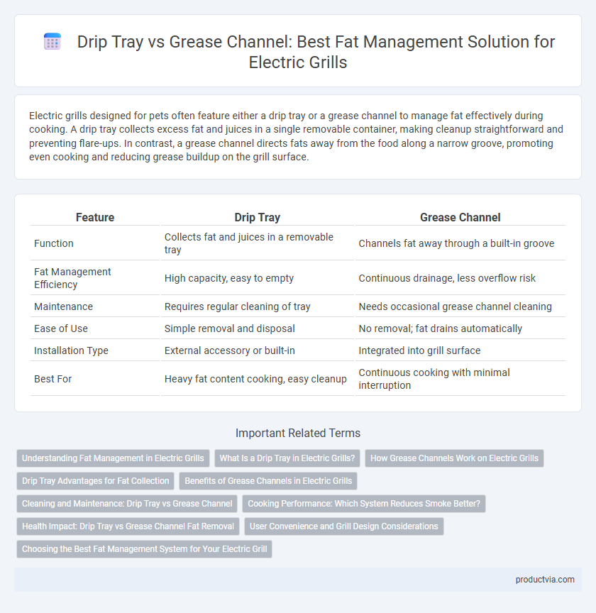 Drip Tray vs Grease Channel: Best Fat Management Solution for Electric Grills