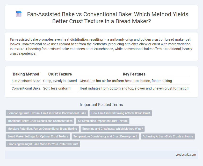 Fan-Assisted Bake vs Conventional Bake: Which Method Yields Better Crust Texture in a Bread Maker?