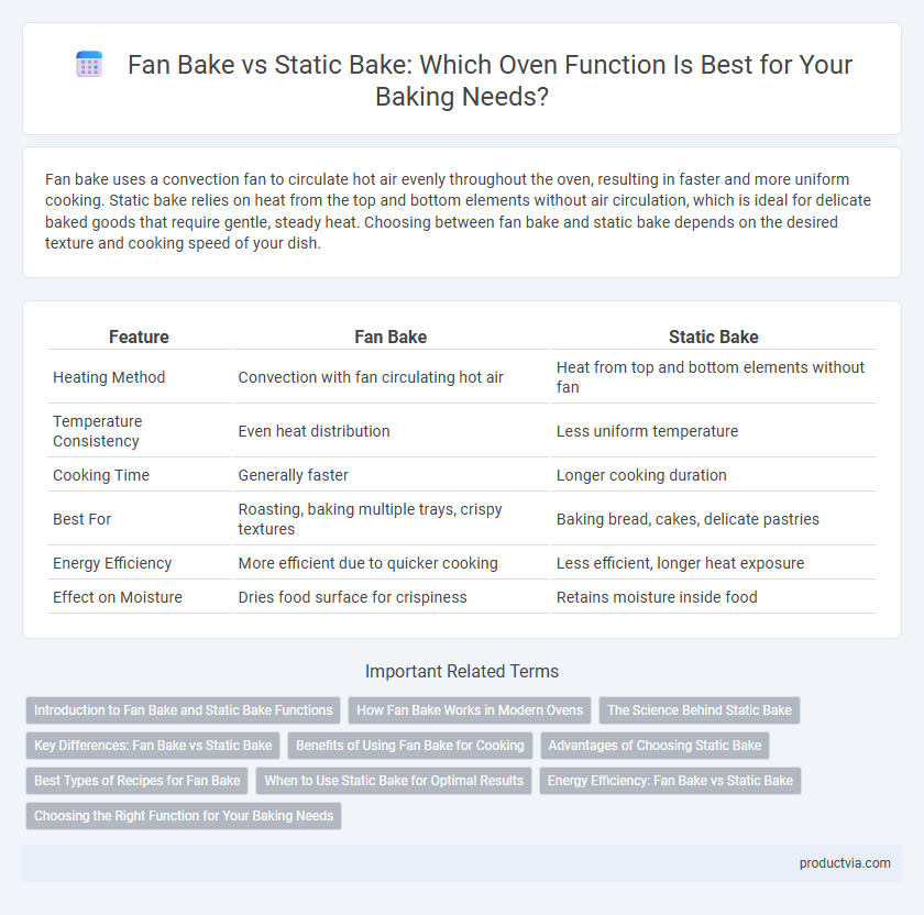 Fan Bake vs Static Bake: Which Oven Function Is Best for Your Baking Needs?
