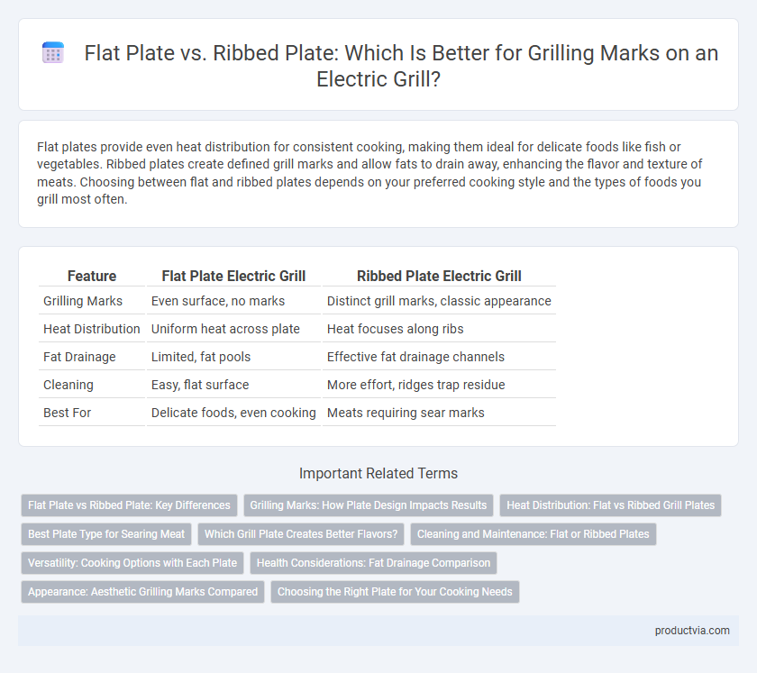 Flat Plate vs. Ribbed Plate: Which Is Better for Grilling Marks on an Electric Grill?