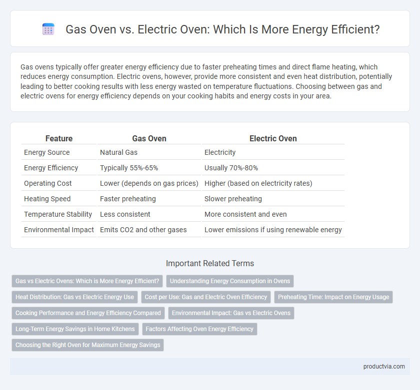 Gas Oven vs. Electric Oven: Which Is More Energy Efficient?