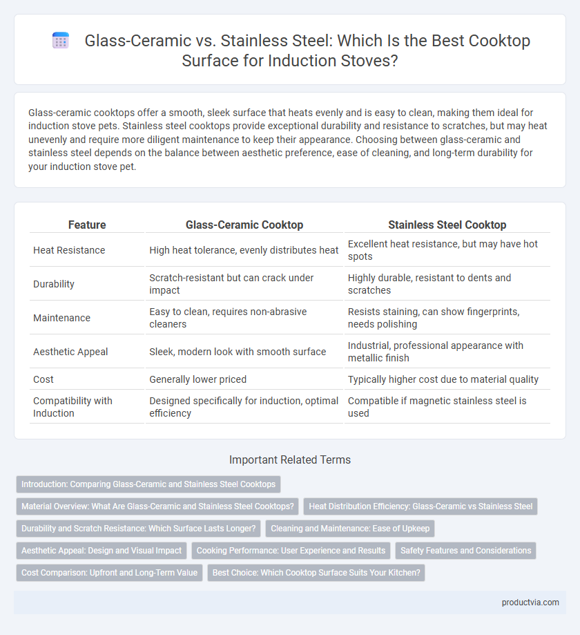 Glass-Ceramic vs. Stainless Steel: Which Is the Best Cooktop Surface for Induction Stoves?