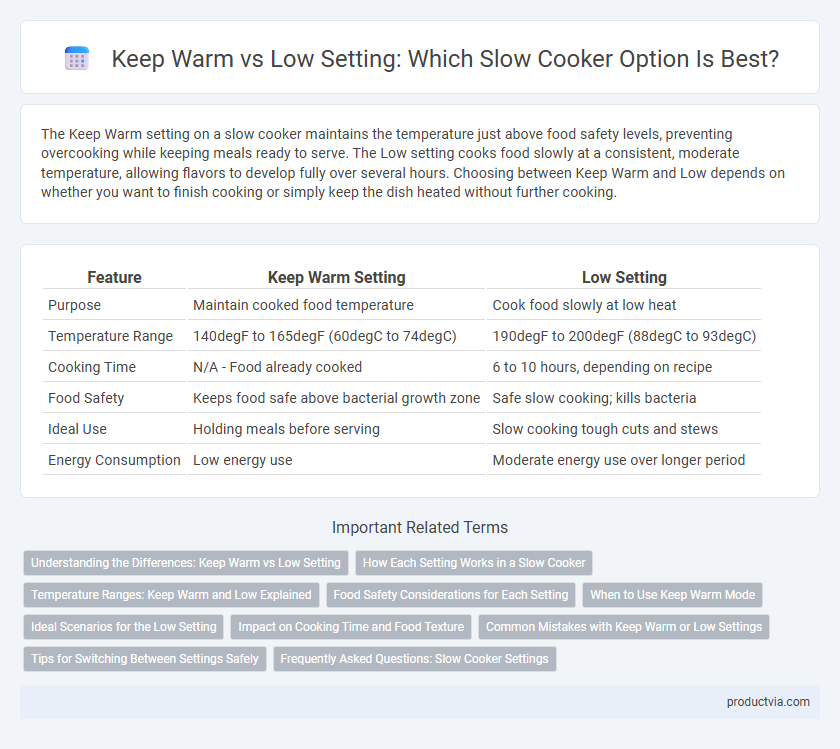 Keep Warm vs Low Setting: Which Slow Cooker Option Is Best?