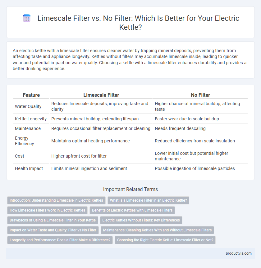 Limescale Filter vs. No Filter: Which Is Better for Your Electric Kettle?