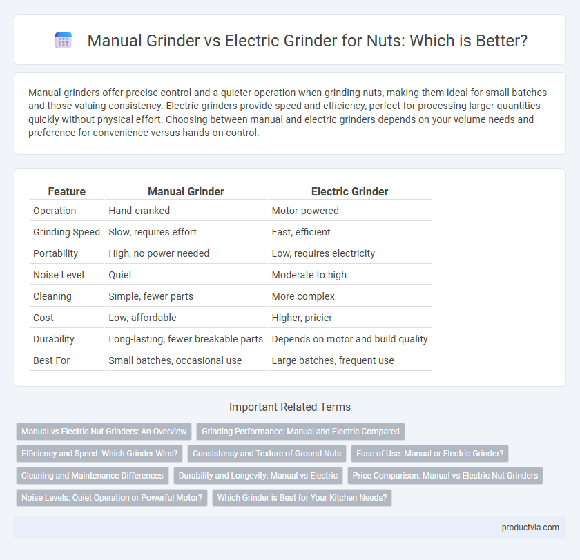 Manual Grinder vs Electric Grinder for Nuts: Which is Better?