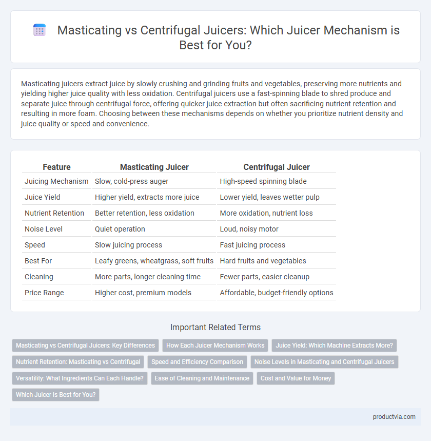 Masticating vs Centrifugal Juicers: Which Juicer Mechanism is Best for You?