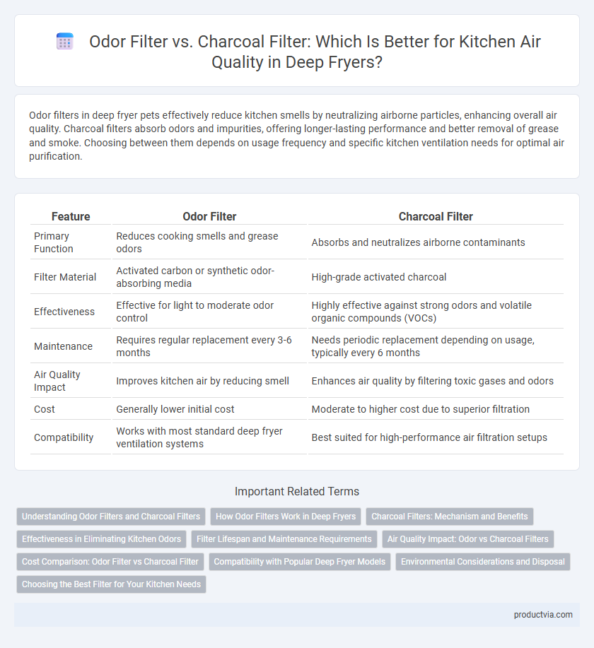 Odor Filter vs. Charcoal Filter: Which Is Better for Kitchen Air Quality in Deep Fryers?