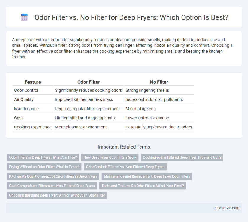 Odor Filter vs. No Filter for Deep Fryers: Which Option Is Best?