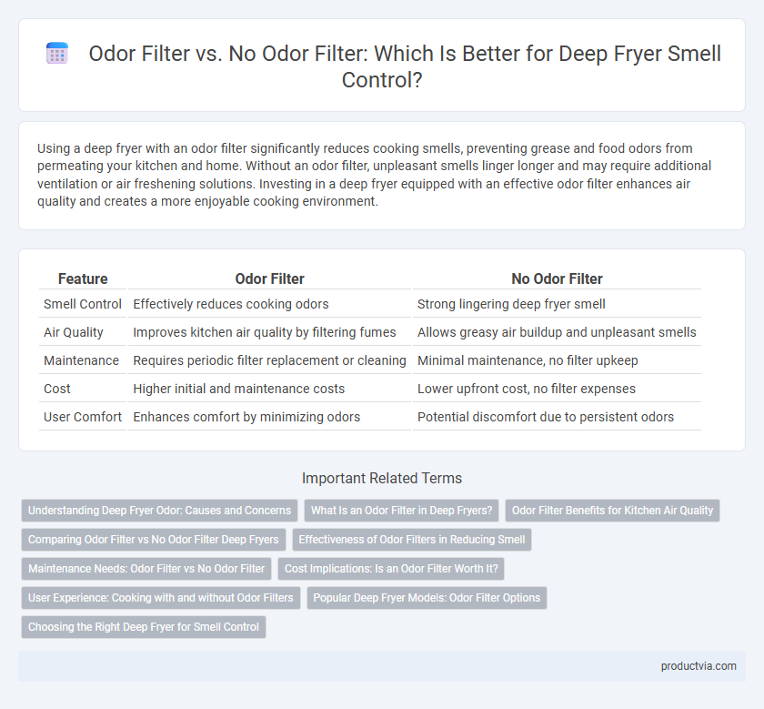 Odor Filter vs. No Odor Filter: Which Is Better for Deep Fryer Smell Control?
